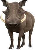 Warthog 1FT Life Size Cardboard Cutout 1 PC, for Party & Events by Unknown