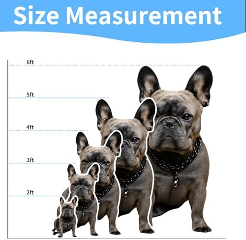 French Bulldog 2FT Life Size Cardboard Cutout, 1 PC - Image 2