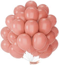 PartyWoo Dusty Pink Balloons 50pcs Dusty Rose Boho Netural Pink Color by PartyWoo
