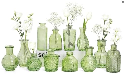 Mini Bud Vases Centerpieces for Tables,Clear Bud Vases for Flowers,Small Flower Vases Suitable for Birthday Party,Anniversary,Wedding Reception,Baby Shower (Green, 12PCS) by Unknown