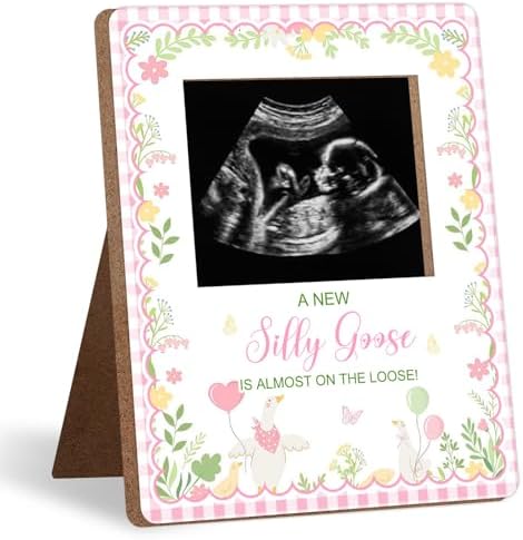 One Silly Goose Baby Shower Sign Picture Frame, Silly Goose Sonogram Picture Frame, New Mom Expecting Parents-to-Be Keepsake Gifts, Silly Geeses Baby Shower Gender Reveal Gifts, 4.5 * 5.3 IN Photo by Unknown