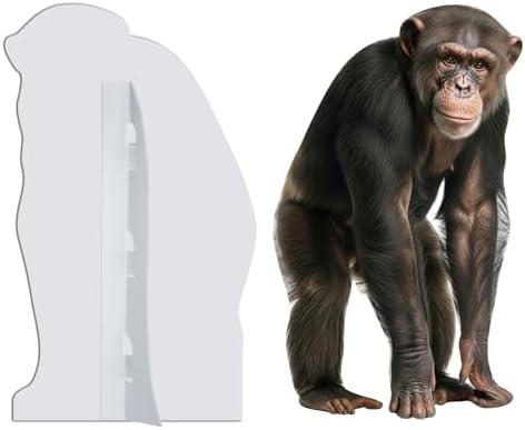 Gorilla 1FT Life Size Cardboard Cutout, 1 PC, Fun Animal Standup - Image 4