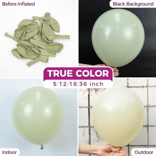 Bezente Sage Green Balloons Latex Party Balloons 100 Pack 12 inch - Image 2