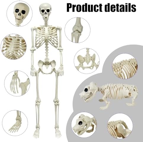 NEROSUN 5.4FT Halloween Skeletons Decoration, Posable Life Full Size Skeleton with Dog Skeleton, Realistic Plastic Human Bones for Halloween Props Haunted House Graveyard Party Decor - Image 5