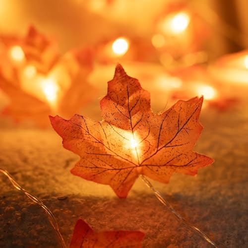 Dazzle Bright 2 Pack Thanksgiving Maple Leaf String Lights, Total 20FT 40 LED Battery Operated Lighted Fall Leaves Garland, Halloween Decorations for Indoor Outdoor Autumn Harvest Decor - Image 3