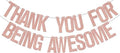 Thank You for Being Awesome Banner Going Away Party Decoration by Usumz