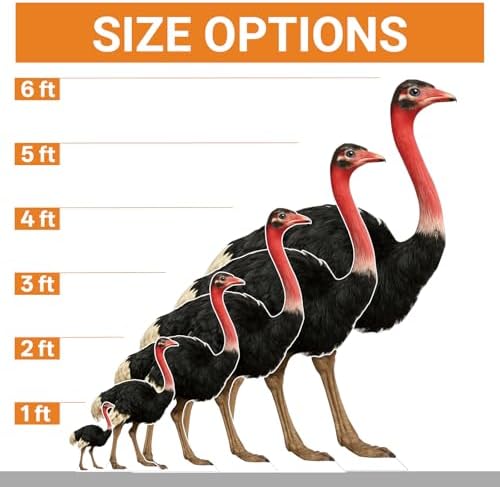Ostrich 1FT Life Size Cardboard Cutout Fun Animal Standup 1PC - Image 2