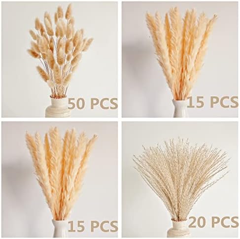 Natural Dried Pampas Grass Decor, Beige Pampas Grass, Bunny Tails Dried Flowers, Reed Grass Bouquet for Wedding Boho Flowers Home Table Decor, Rustic Farmhouse Party (100 in Total ) - Image 2