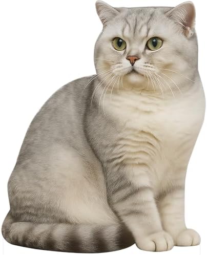 Silver British Shorthair Cat 1FT LifeSize Cardboard Cutout, 1PC by DP+BOUTIQUE