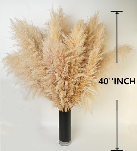 10 PCS 40" Tall Pampas Grass Stems in Natural Beige, Add a Boho Touch to Your Space—Pompas Grass Ideal for Floral Arrangements, Floor Vases, Weddings, and Creating a Bohemian Ambiance at Home. - Image 2