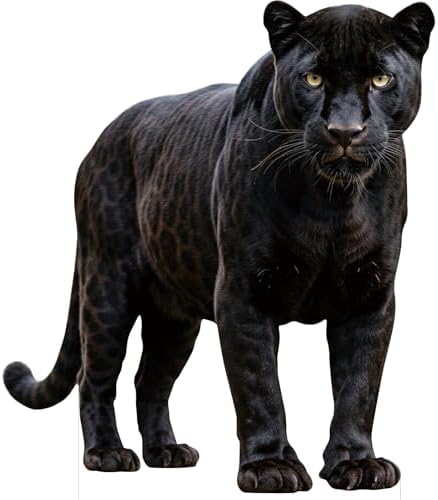 Black Panther 3FT Life Size Cardboard Cutout, 1 PC by Unknown