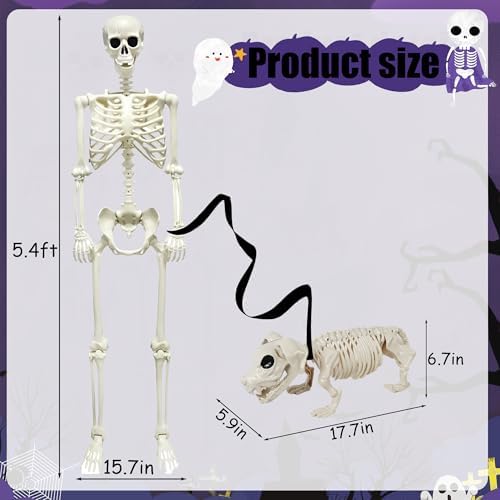 NEROSUN 5.4FT Halloween Skeletons Decoration, Posable Life Full Size Skeleton with Dog Skeleton, Realistic Plastic Human Bones for Halloween Props Haunted House Graveyard Party Decor - Image 4