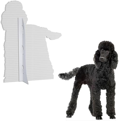 Poodle 5FT Life Size Cardboard Cutout, 1 PC - Image 3