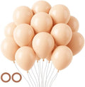 Voircoloria 105pcs Blush Party Latex Balloons, 12inch by Voircoloria