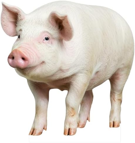Pig 3FT Life Size Cardboard Cutout, 1 PC by DP+BOUTIQUE