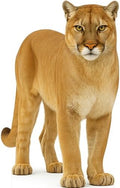 Cougar 5FT Life Size Cardboard Cutout, Safari Theme, 1 PC by DP+BOUTIQUE