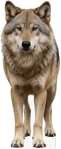 Wolf 1FT Life Size Cardboard Cutout, Standup, 1 PC by DP+BOUTIQUE