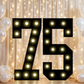 Pooqla 75th Birthday Decorations for Men, 2.4FT Light Up Numbers by Pooqla