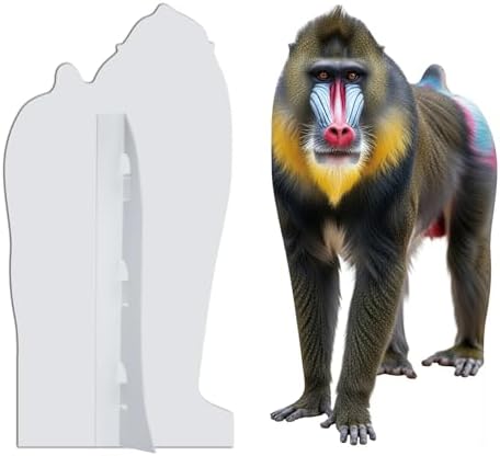 Mandrill Cardboard Cutout, 4FT Life Size Fun Animal Standup, 1 PC - Image 4
