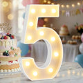 12.6 Inch Marquee Light Up Numbers 5 for Party Decorations by NANXU