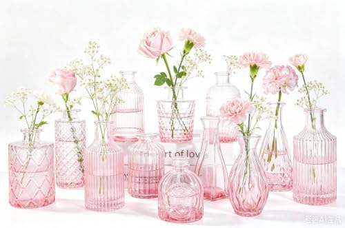 Mini Bud Vases Centerpieces for Tables,Clear Bud Vases for Flowers,Small Flower Vases Suitable for Birthday Party,Anniversary,Wedding Reception,Baby Shower (GradPink, 12PCS) by Unknown