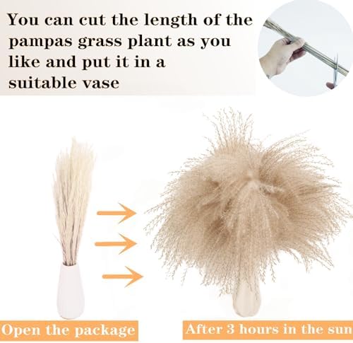 Dried Pampas Grass Decor, 128PCS Pampas Grass with Bunny Tails Dried Flowers, Reed Grass Bouquet for Wedding, Boho Flowers, Home Table Decor, Rustic Farmhouse Party - Image 4