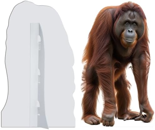 Orangutan 3FT Life Size Cardboard Cutout, Fun Animal Standup - Image 4