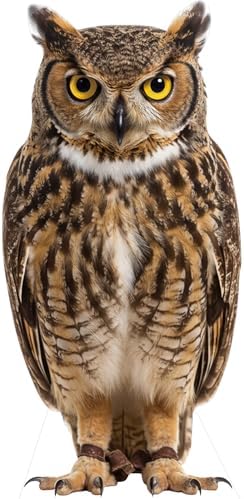 Owl Life Size Cardboard Cutout, 4FT for Events & Party Decor by Unknown
