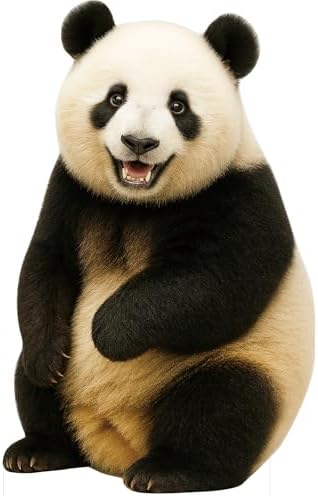 Panda Animal Standup CLife Size ardboard Cutout, 5FT 1 PC by Unknown
