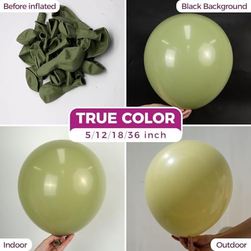 Bezente Sage Green Latex Matte Party Balloons 150 Pack 5 inch Small - Image 2