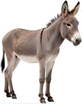 Nativity Donkey 5FT Life Size Cardboard Cutout Standee, 1 PC by DP+BOUTIQUE