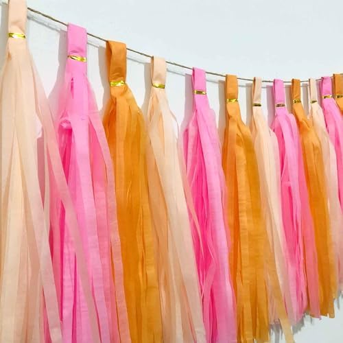 We Moment Pink Orange Peach Tissue Paper Tassels Party Tassel Garland Banner for Birthday Baby Bridal Shower Party Decoration, DIY Kits,15PCS - Image 2