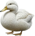 Duck Life Size Cardboard Cutout, 1FT, Alaskan Animals by 111PRINT