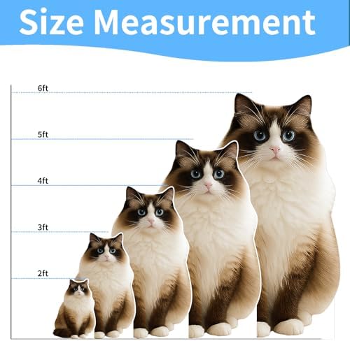 Pointed Ragdoll Cat 5FT Life Size Cardboard Cutout, 1 PC - Image 2