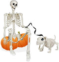 NEROSUN 5.4FT Halloween Skeletons Decoration, Posable Life Full Size Skeleton with Dog Skeleton, Realistic Plastic Human Bones for Halloween Props Haunted House Graveyard Party Decor by NEROSUN