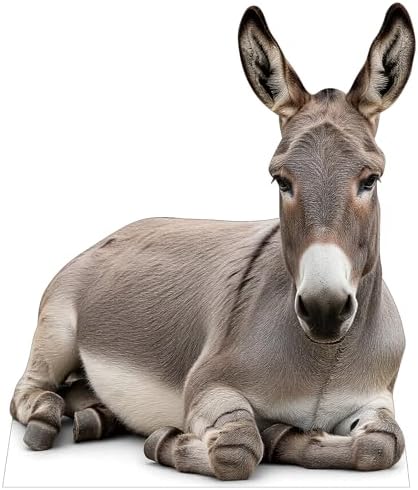 Nativity Donkey 4FT Life Size Cardboard Cutout, Christmas Scene by 111PRINT