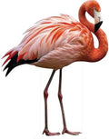 Flamingo Cardboard Cutout, 5FT Life Size Safari Theme, 1 PC by 111PRINT