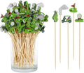 Golf Cocktail Picks, 4.7 IN Wooden Fancy Toothpicks for Appetizers by Unknown
