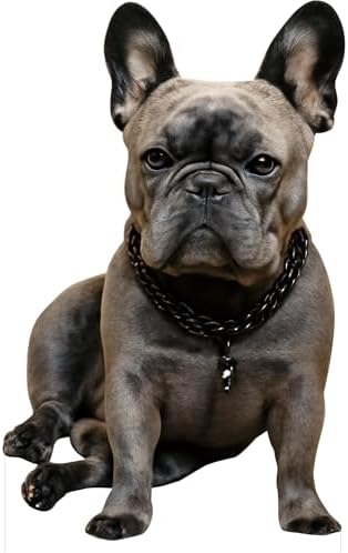 French Bulldog 2FT Life Size Cardboard Cutout, 1 PC by DP+BOUTIQUE