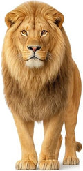 Lion 1FT Life Size Cardboard Cutout, Safari Theme, 1 PC by DP+BOUTIQUE