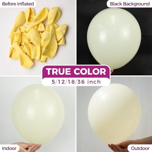 Bezente Pastel Yellow Latex Matte Party Balloons 150 Pack 5 inch Small - Image 2