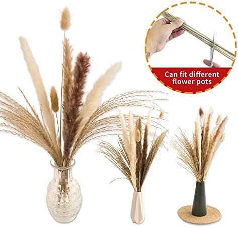 65PCS Pampas Grass Decor, Including pompas Floral, Reed Dried Grass and Bunny Tails Dried Flowers, Natural Dried Pampas Grass Bouquet for Boho Decor Wedding, Home Decoration (Pack of 2) - Image 4