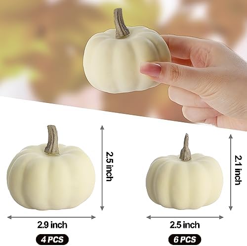 Artgar Pumpkin Decor - White Pumpkin - 10 PCS Mini Pumpkins Harvest Set - Image 2