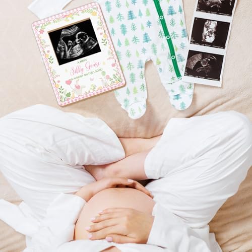 One Silly Goose Baby Shower Sign Picture Frame, Silly Goose Sonogram Picture Frame, New Mom Expecting Parents-to-Be Keepsake Gifts, Silly Geeses Baby Shower Gender Reveal Gifts, 4.5 * 5.3 IN Photo - Image 5