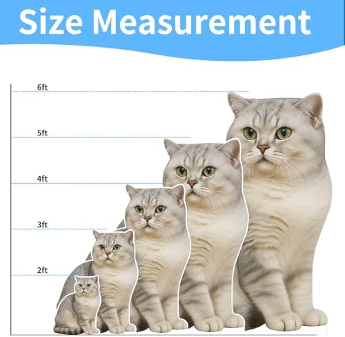 Silver British Shorthair Cat 2FT LifeSize Cardboard Cutout, 1PC - Image 2
