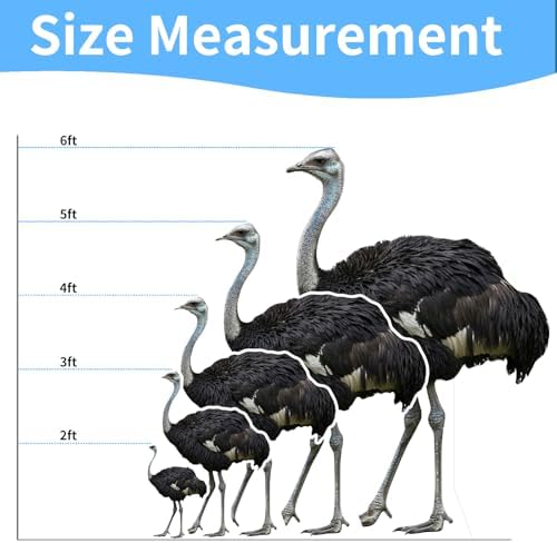 Ostrich 1FT Life Size Cardboard Cutout, 1 PC - Image 2