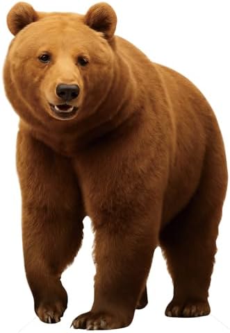 Life Size Cardboard Cutout, Brown Bear 5FT, Animal Standup, 1 PC by Unknown