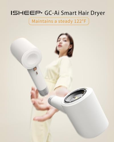 Hair Dryer, High-Speed Ionic Low Noise Blow Dryer with Brushless Motor for Fast Drying for Home Travel Salon - Image 2