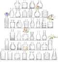 Bud Vases Set of 36,Small Vases for Centerpieces, Glass Bud Vase in Bulk, Mini Vintage Flowers Vase for Wedding, Home Table Decor,Christmas,Party Decoration,Clear by Paudao