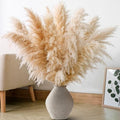 10 PCS 40" Tall Pampas Grass Stems in Natural Beige, Add a Boho Touch to Your Space—Pompas Grass Ideal for Floral Arrangements, Floor Vases, Weddings, and Creating a Bohemian Ambiance at Home. by ANPROOR